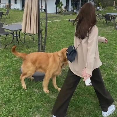 陷阱之中