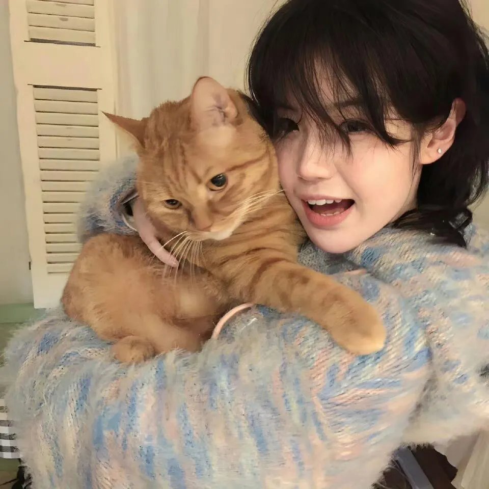 猫与苍蝇